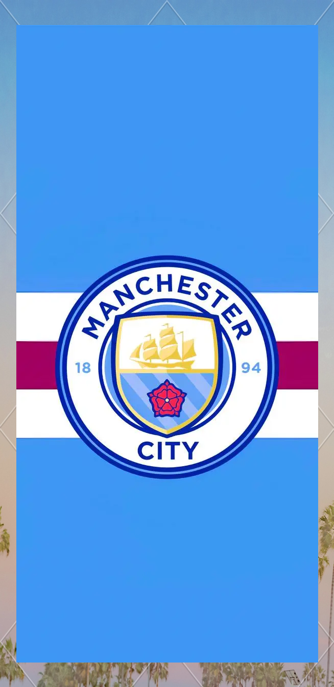 德天空：曼联和切尔西已经对韦德拉奥果进行了考察